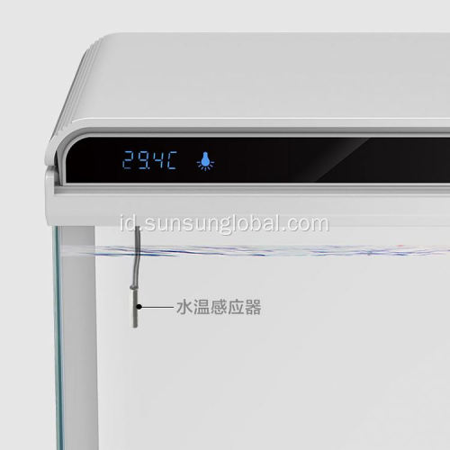 Desain fashion terlaris ikan akuarium hidup